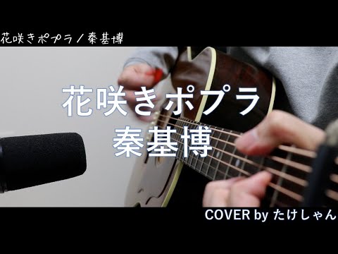 花咲きポプラ / 秦基博 【アコースティックCover】