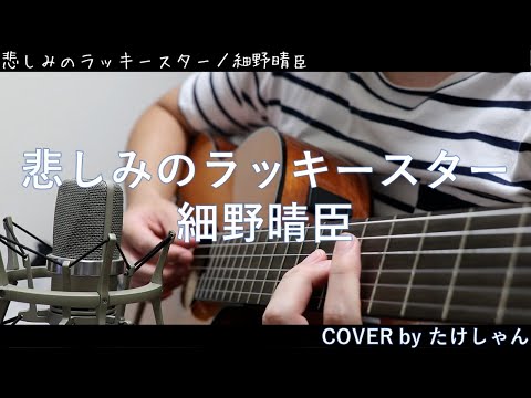 悲しみのラッキースター / 細野晴臣 【アコースティック Cover】