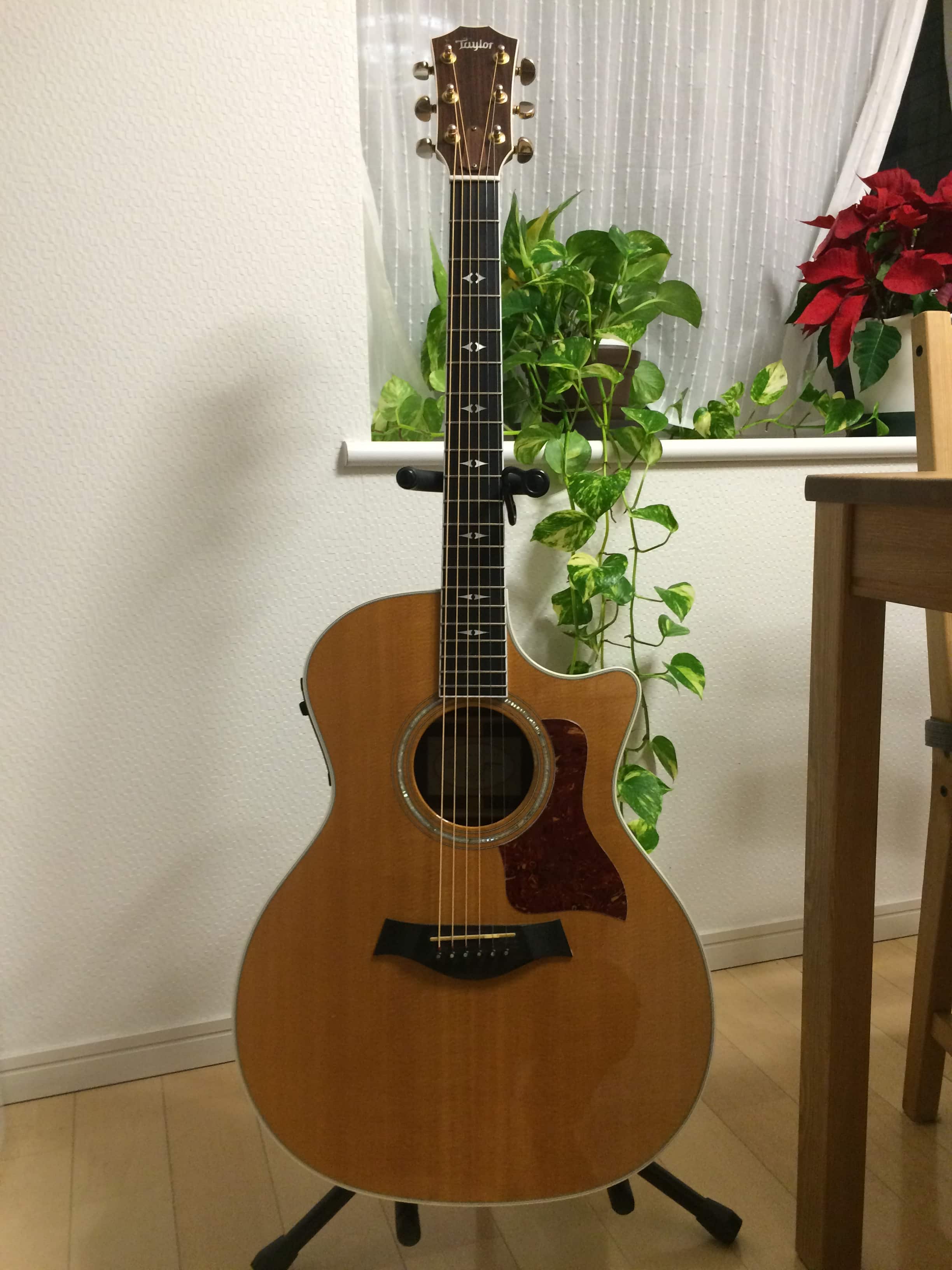Taylor（テイラー） 814ceをレビュー。何のジャンルにも合う最強の