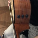 TaylorのピックアップES2のコントロール部分