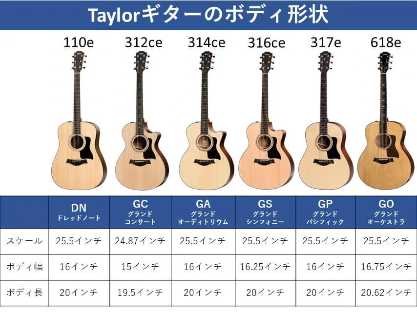 Taylorボディサイズ