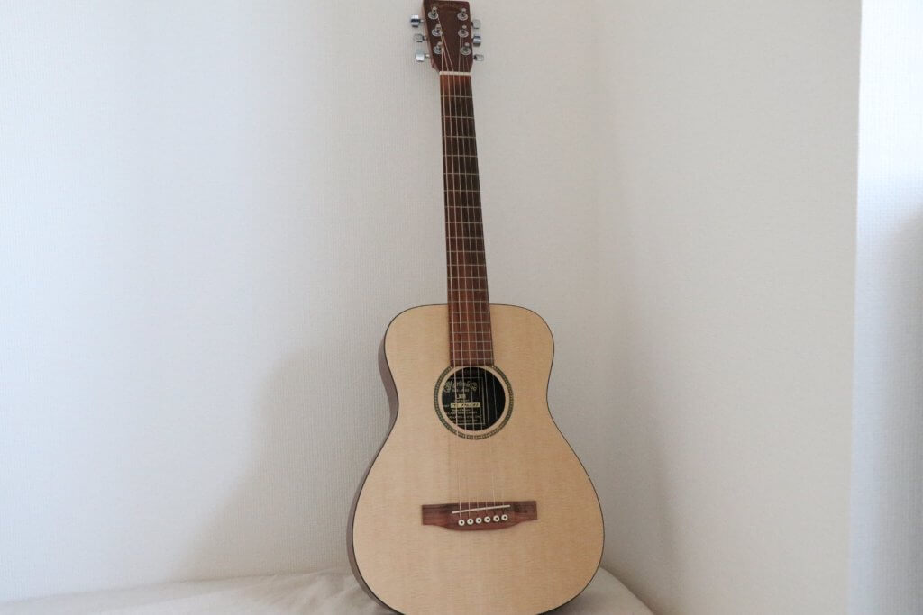 Martin LXM 正面