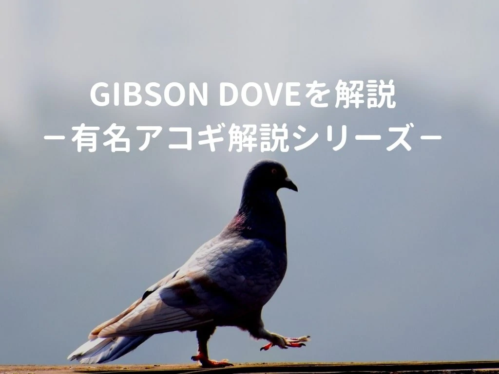 Gibson Doveを解説