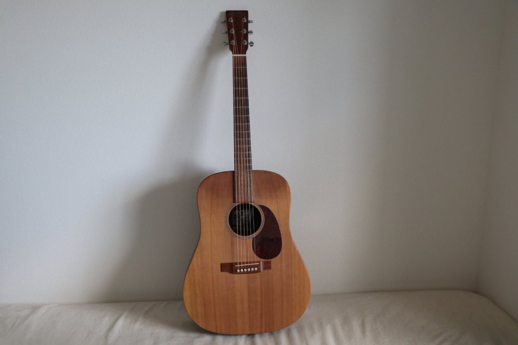 Martin DX1 全体