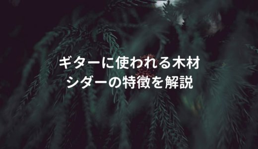シダーのギターを解説。フィンガーピッカーに愛される木材
