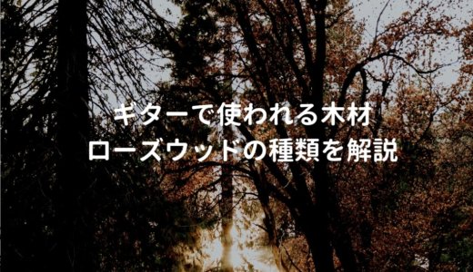 ローズウッドのギターと種類を解説。プロユースのアコギで使われる木材
