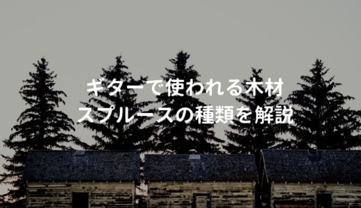 スプルースのギターを解説。大半のアコギに使われている木材