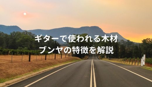 ブンヤのギターを解説。スプルースに対抗できる木材