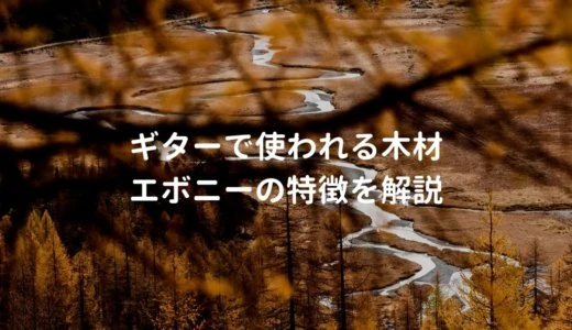 エボニーのギターを解説。指板、ブリッジに使われる木材