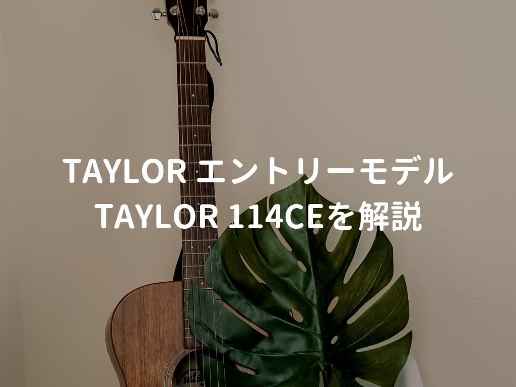 Taylor-114ce-min-1024x768.jpg
