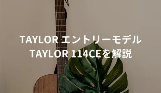 Taylor（テイラー）114ce Walnutをレビュー。高性能ピックアップ搭載のエントリーモデル