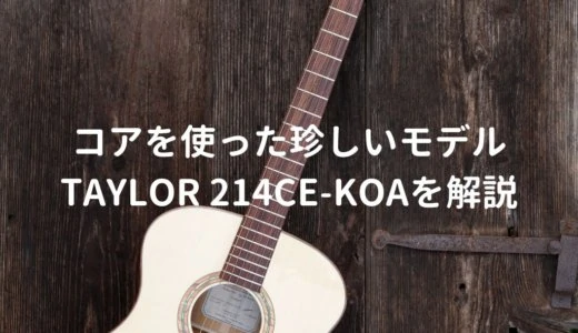 Taylor（テイラー）214ce-Koaをレビュー。10万円台で買える人気のエレアコ