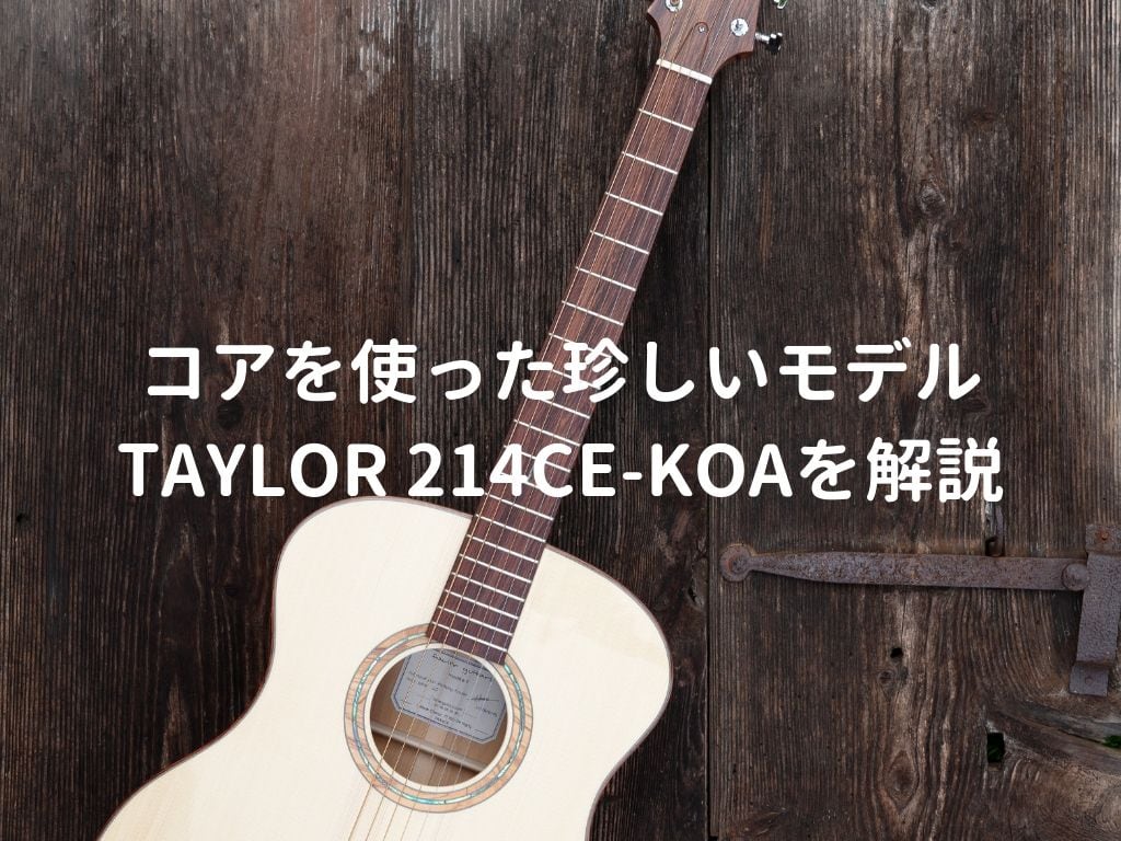 TAYLOR 214ce-Koa 2017|ドルフィンギターズ