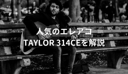 Taylor（テイラー）314ce V-Classをレビュー。プロ・アマ問わず人気のバランス良いエレアコ