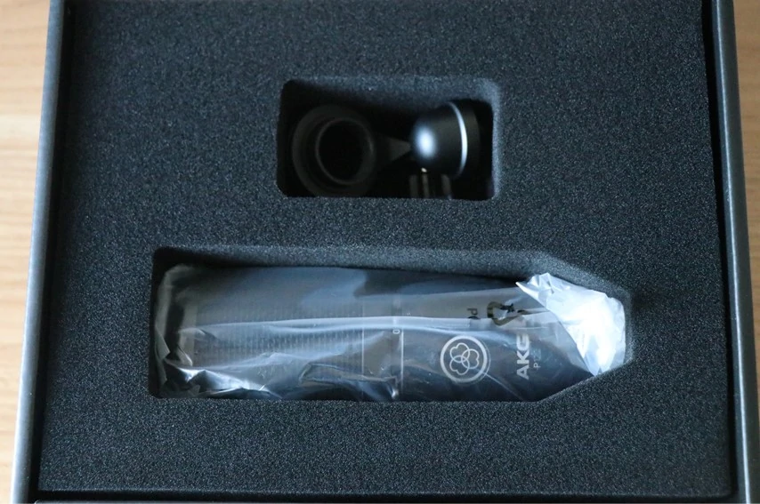 AKG P120