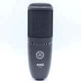 AKG P120