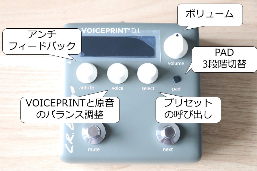 VOICEPRINT-10.jpg