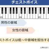 チェストボイス 男性・女性の音域