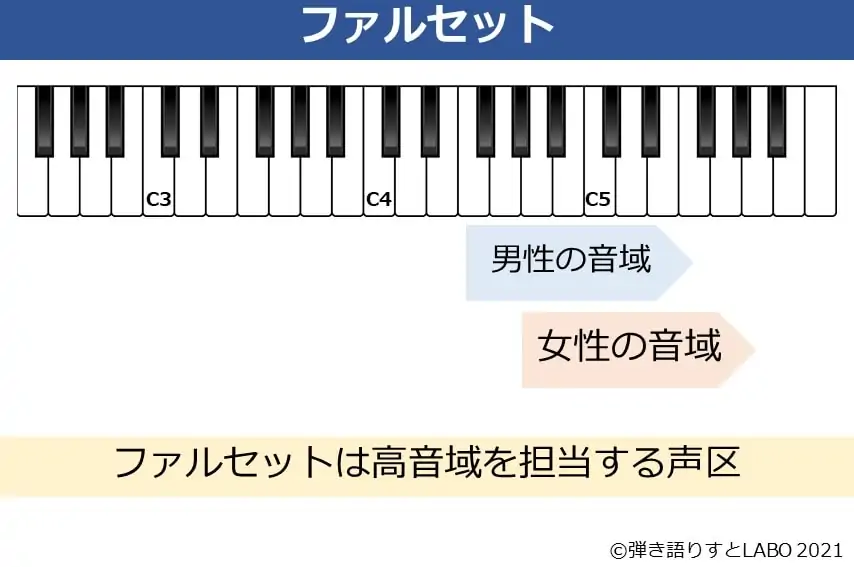 ファルセット 男性・女性の音域