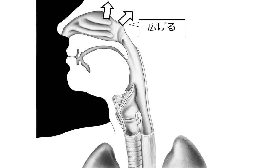 鼻腔を広げると高音発声が楽になる