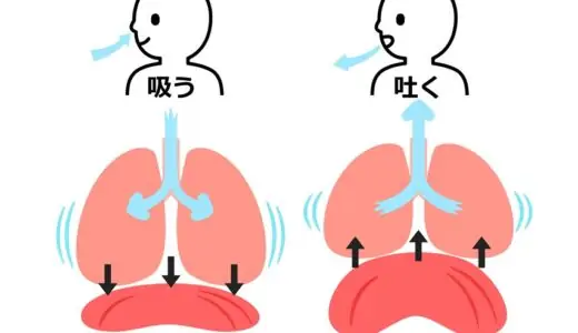 歌に必須の腹式呼吸のやり方・練習方法を音源付きで解説