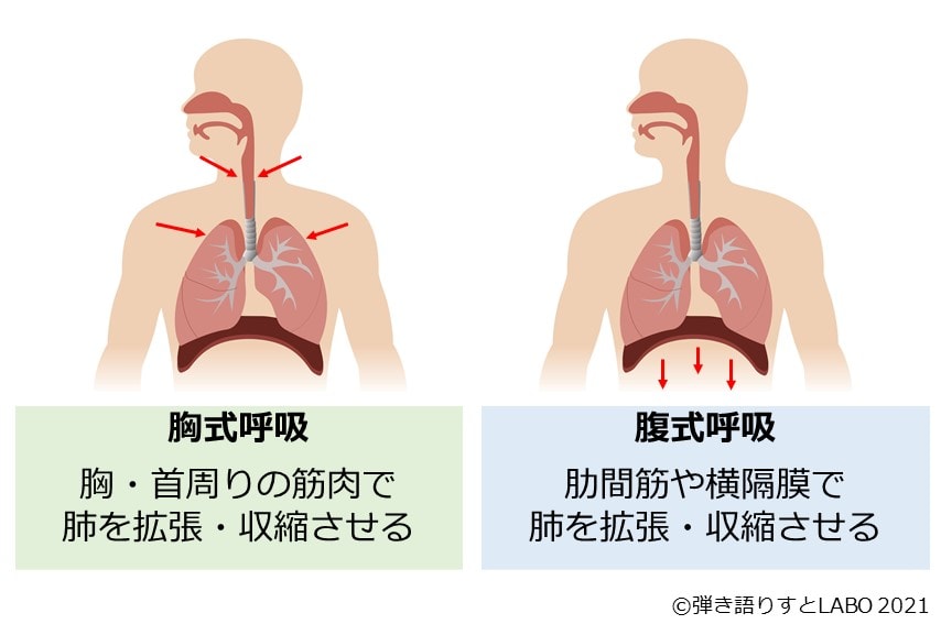 胸式呼吸と腹式呼吸の違いを図で説明した画像