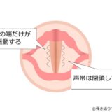 エッジボイスを出すときの声帯