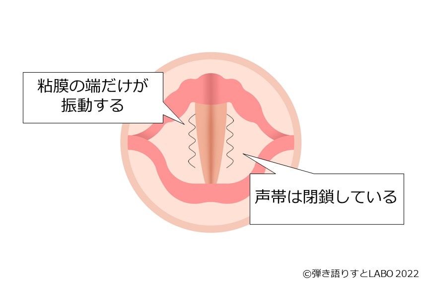 エッジボイスを出すときの声帯