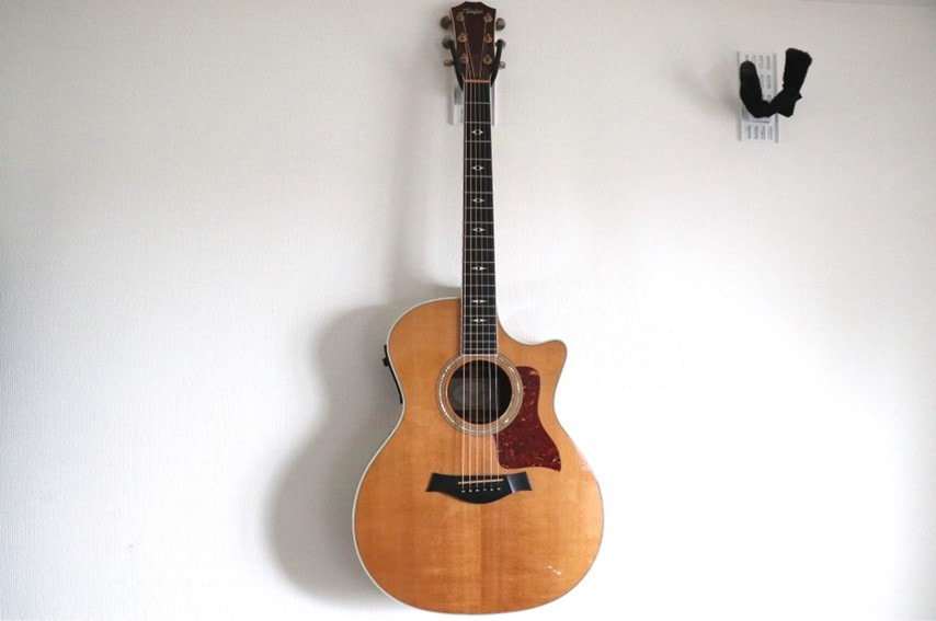 Taylor 814ce