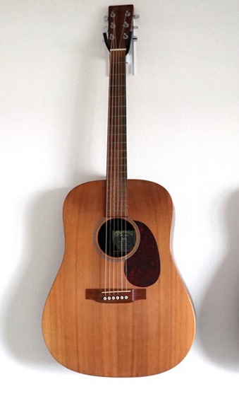 Martin DX1の写真